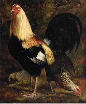 unknow artist Cocks 117 Germany oil painting art